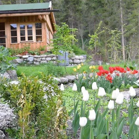 Affittacamere Landhaus Bernhofer