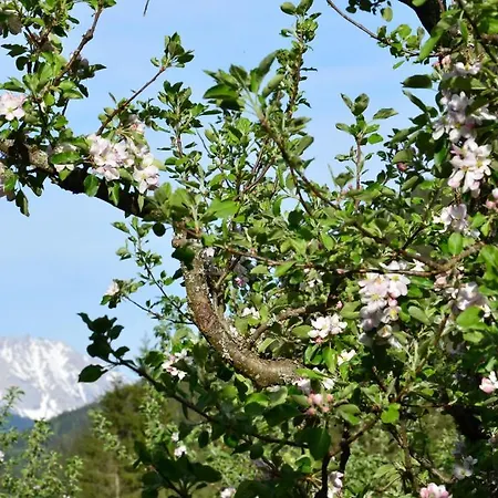 Landhaus Bernhofer Eben Im Pongau