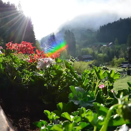 Landhaus Bernhofer Affittacamere Eben Im Pongau